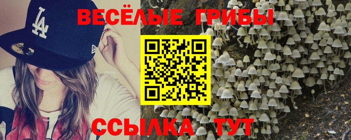 Галлюциногенные грибы Magic Shrooms  Вход с VPN  купить   Галлюциногенные грибы прущие грибы  Кириши 
